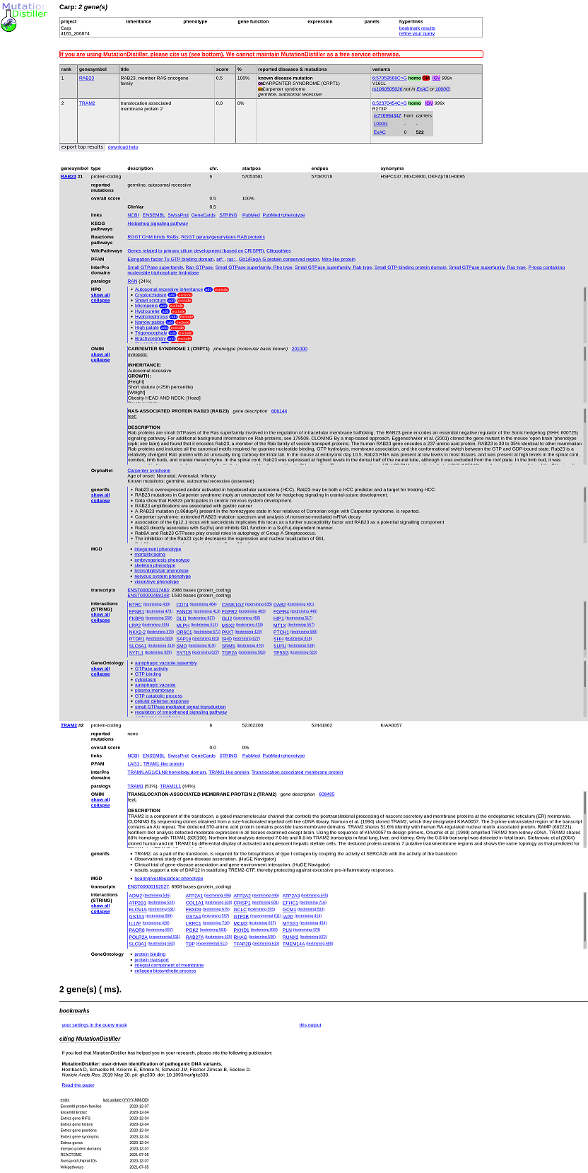 chomosomal homozygosity - zoom in