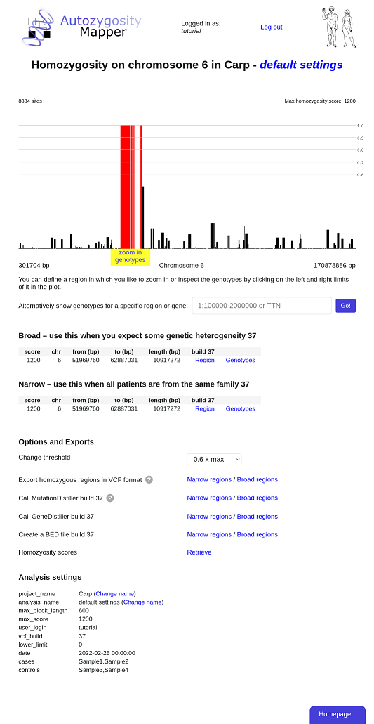 chomosomal homozygosity - zoom in